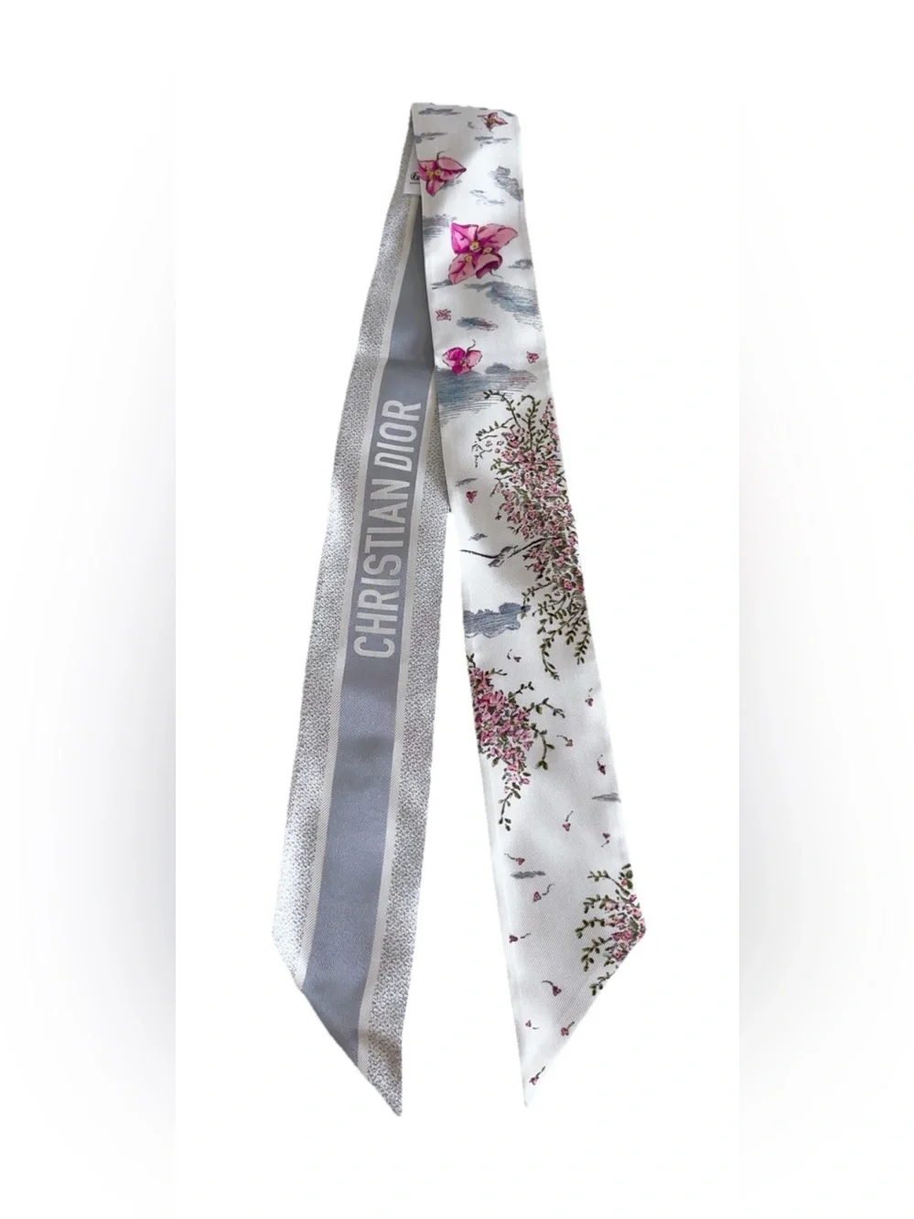 Dior Jardin  D’hiver Mitzah Silk Scarf